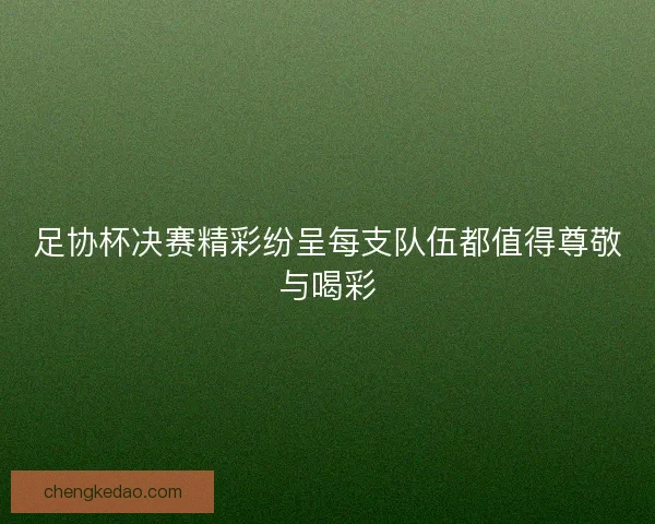 足协杯决赛精彩纷呈每支队伍都值得尊敬与喝彩