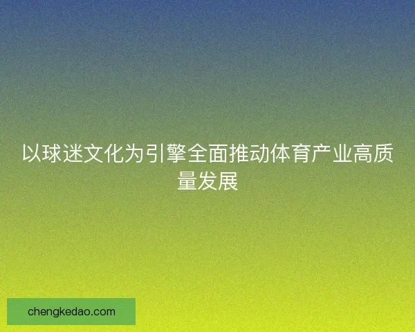 以球迷文化为引擎全面推动体育产业高质量发展