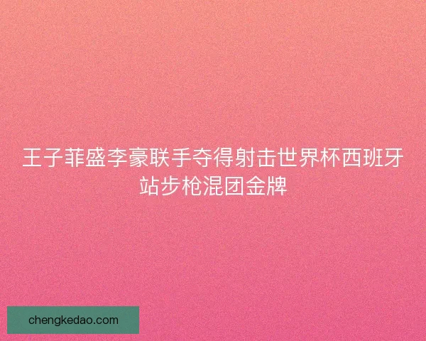 王子菲盛李豪联手夺得射击世界杯西班牙站步枪混团金牌